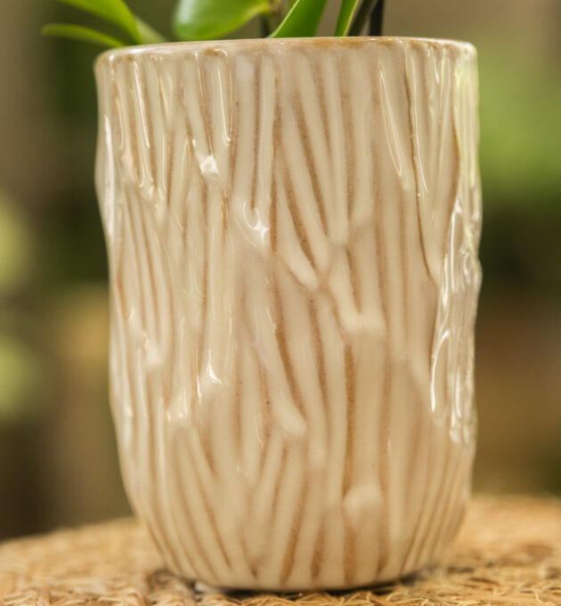 Mini - orchidée – Image 8